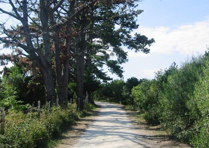 hotel des bains oleron
