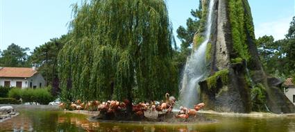 hotel des bains oleron