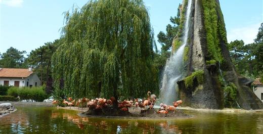 hotel des bains oleron