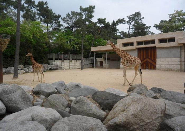 hotel des bains oleron