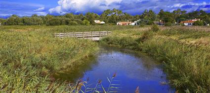 hotel des bains oleron
