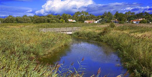hotel des bains oleron