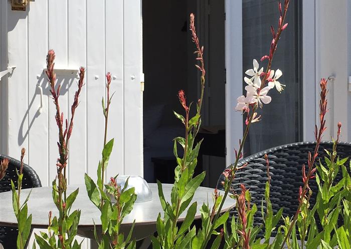 hotel des bains oleron