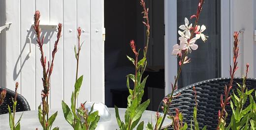 hotel des bains oleron