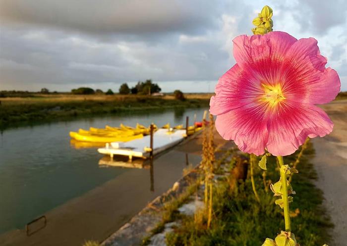 hotel des bains oleron
