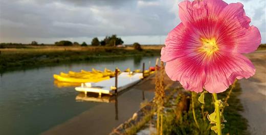 hotel des bains oleron